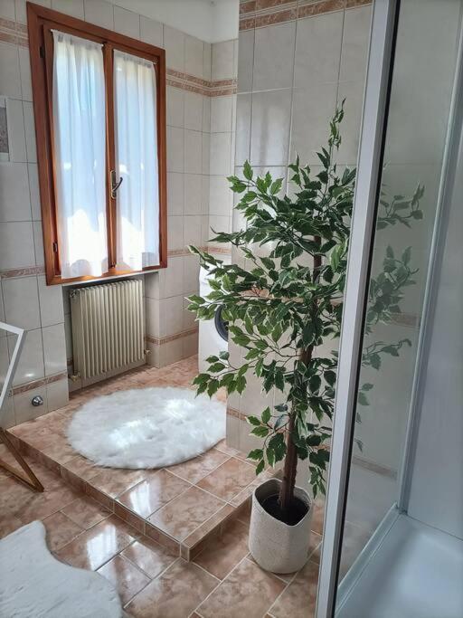 A Due Passi Dal Centro Villa Treviso Eksteriør billede