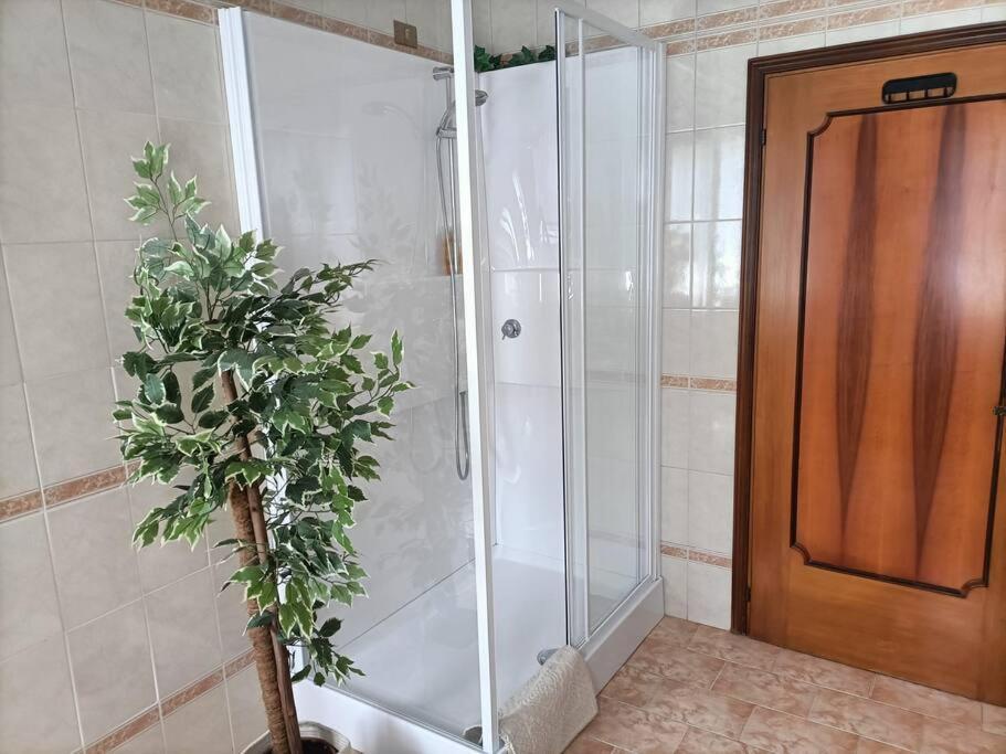 A Due Passi Dal Centro Villa Treviso Eksteriør billede
